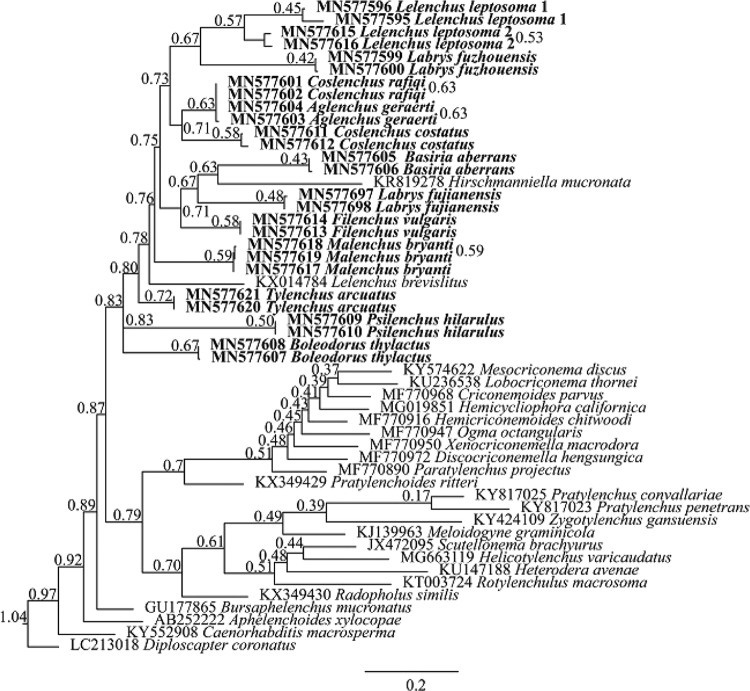 Figure 5: