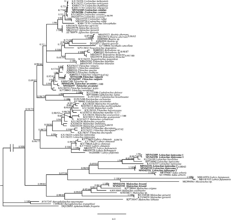 Figure 7: