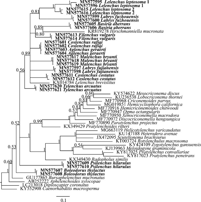 Figure 4: