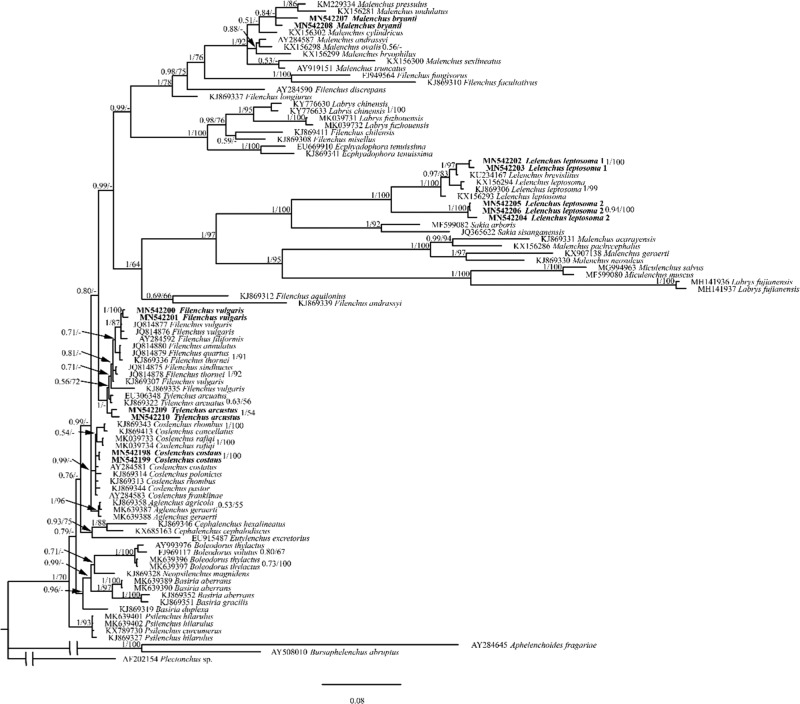 Figure 6: