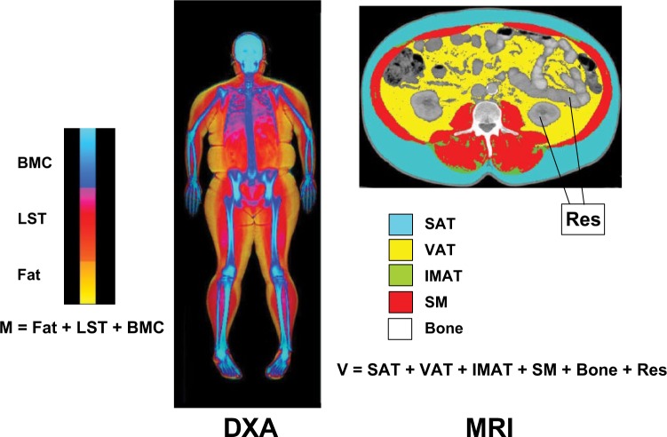 Figure 2.