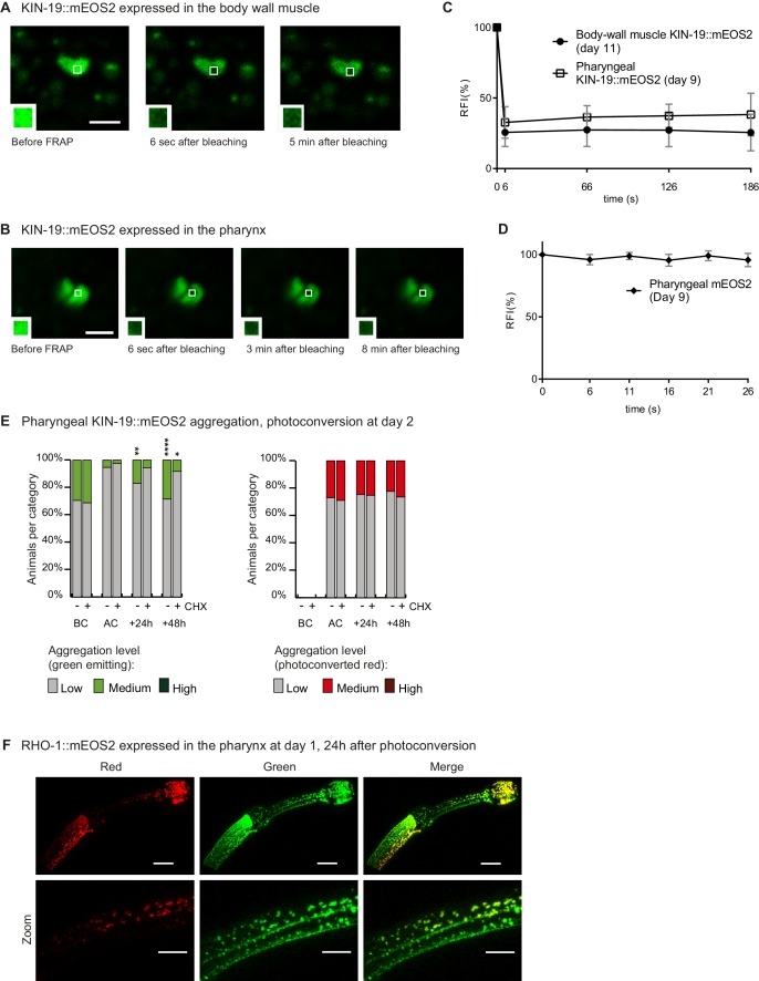 Figure 1—figure supplement 1.