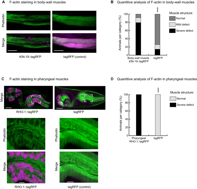 Figure 3—figure supplement 3.