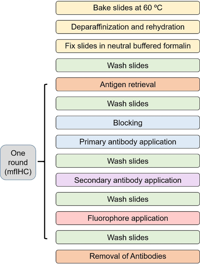 Figure 1: