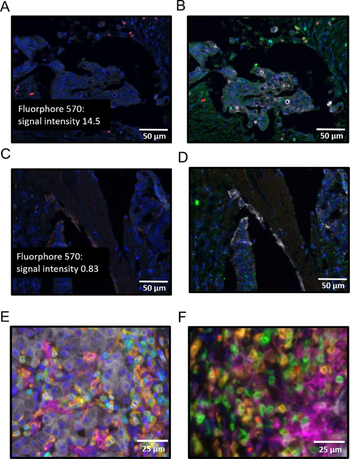 Figure 3: