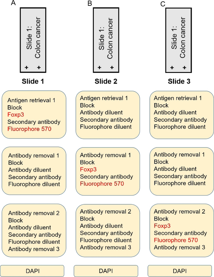 Figure 2: