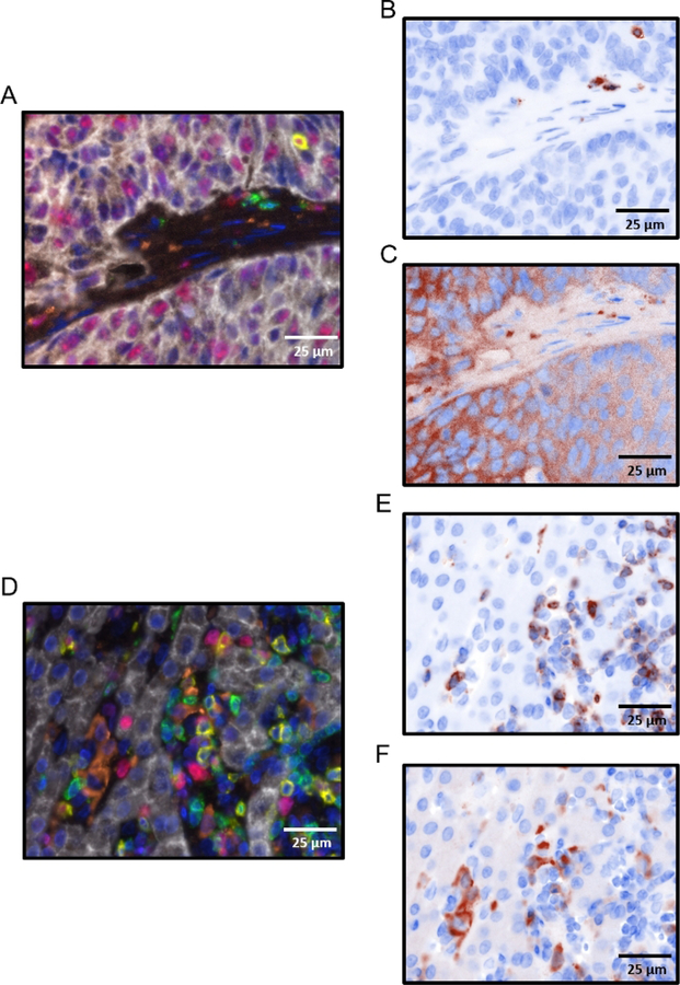 Figure 5: