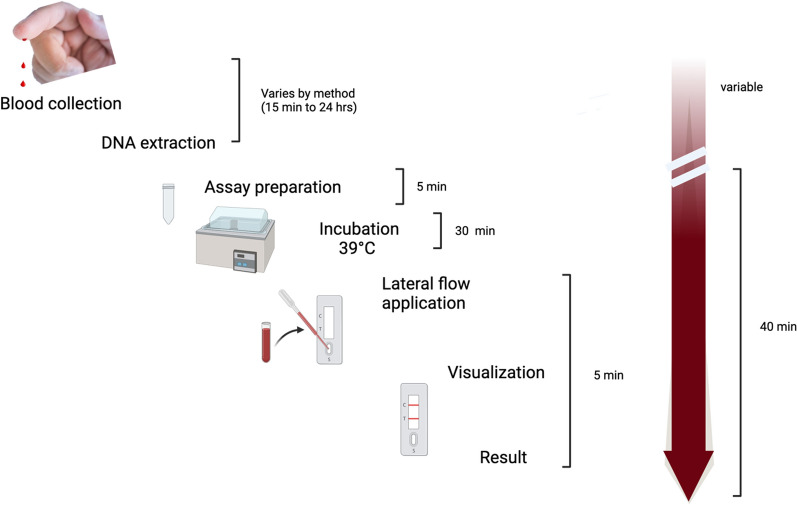 Fig. 2