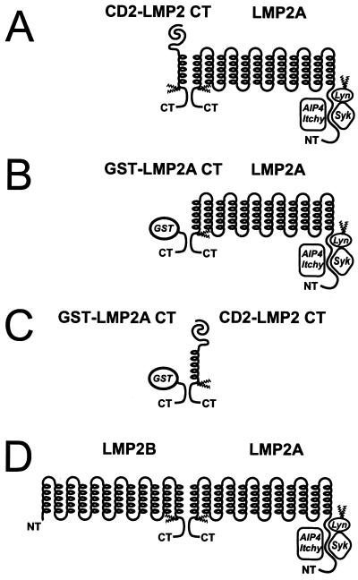 FIG. 6