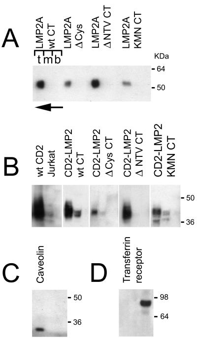 FIG. 5