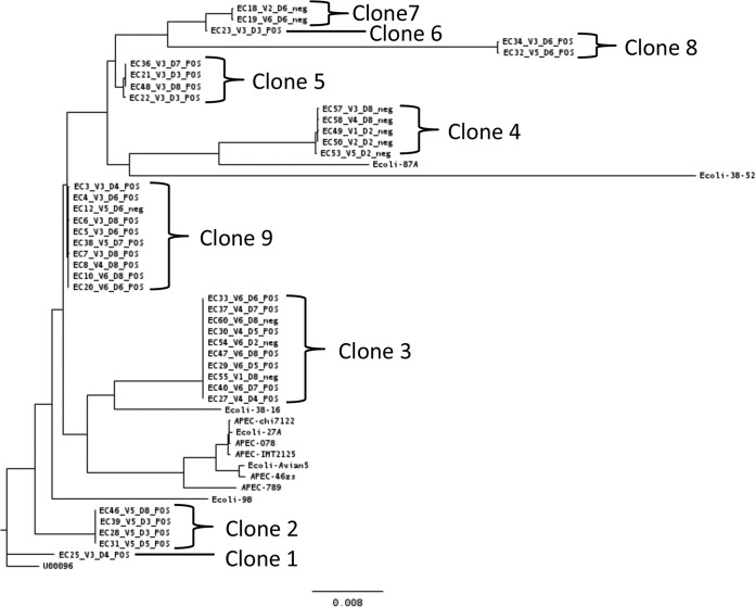 FIG 4 