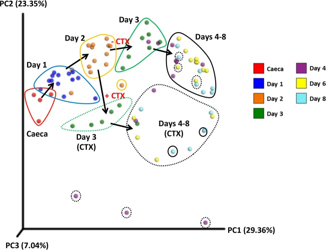 FIG 2 