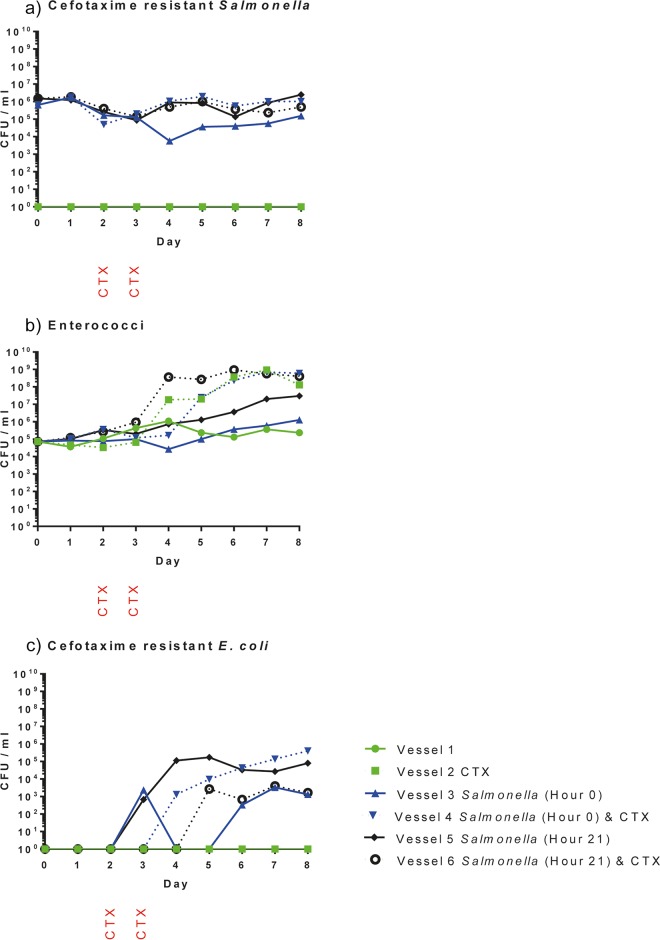 FIG 3 