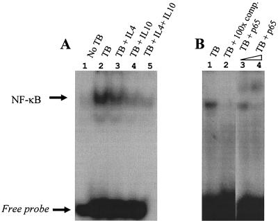 FIG. 5