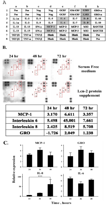 Fig 5