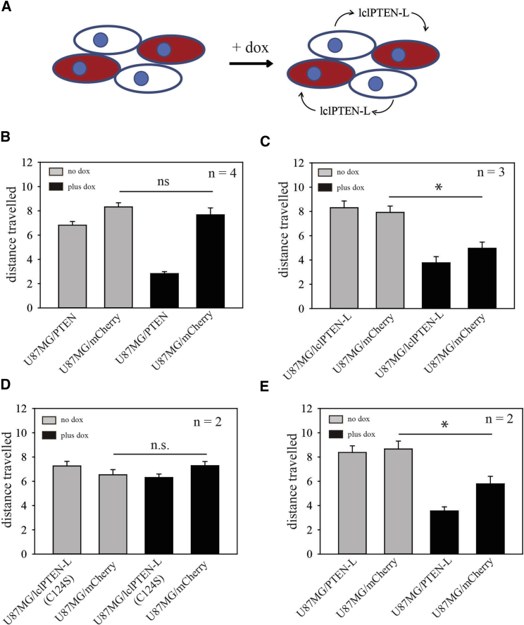 Figure 6