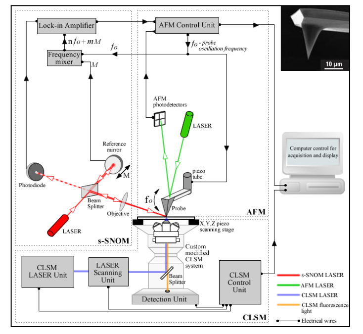 Fig. 1