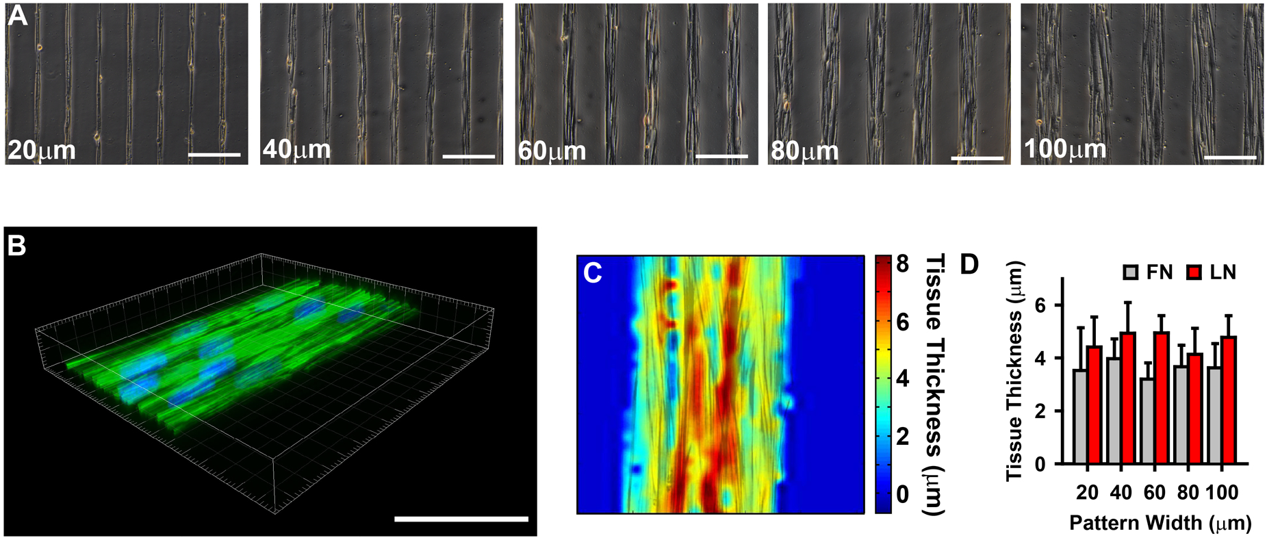 Figure 1: