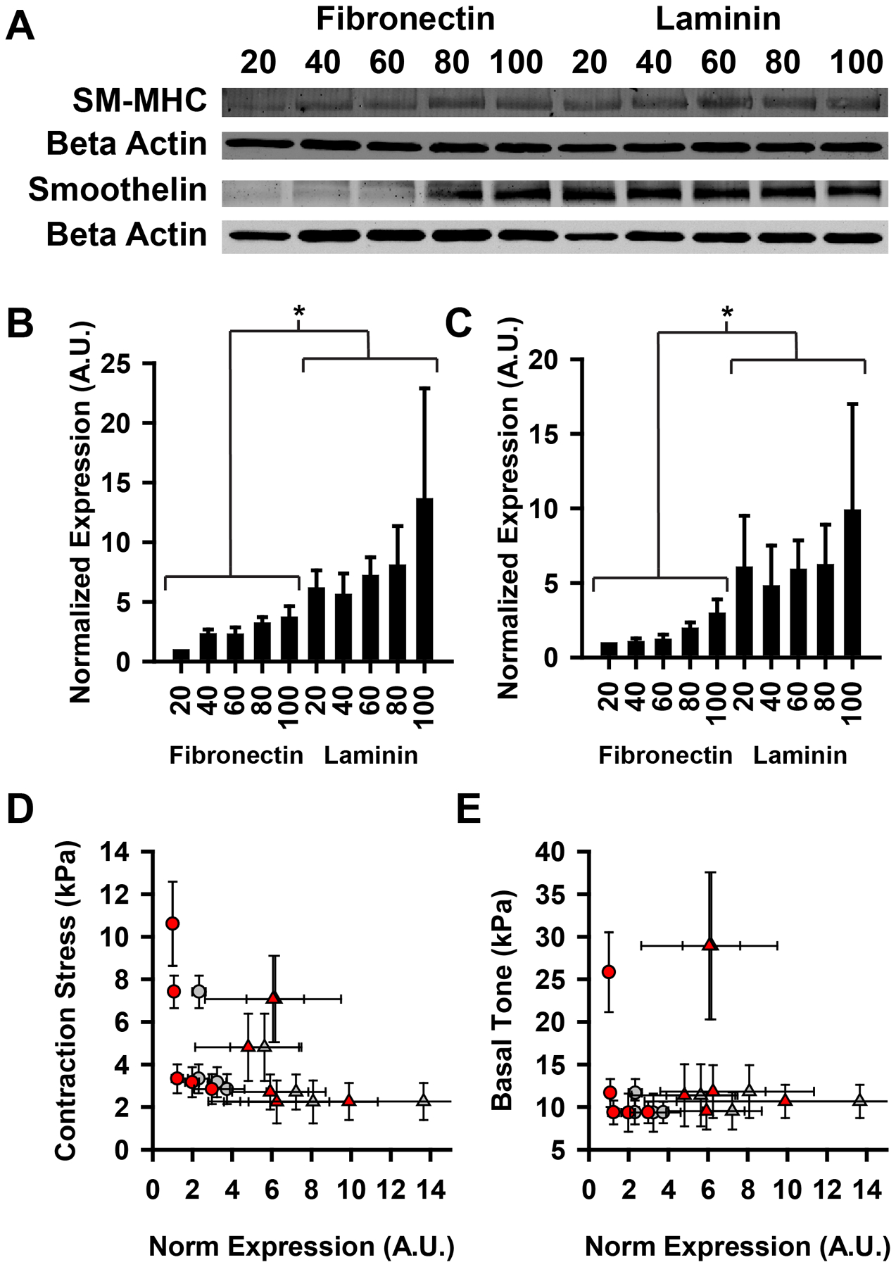 Figure 6: