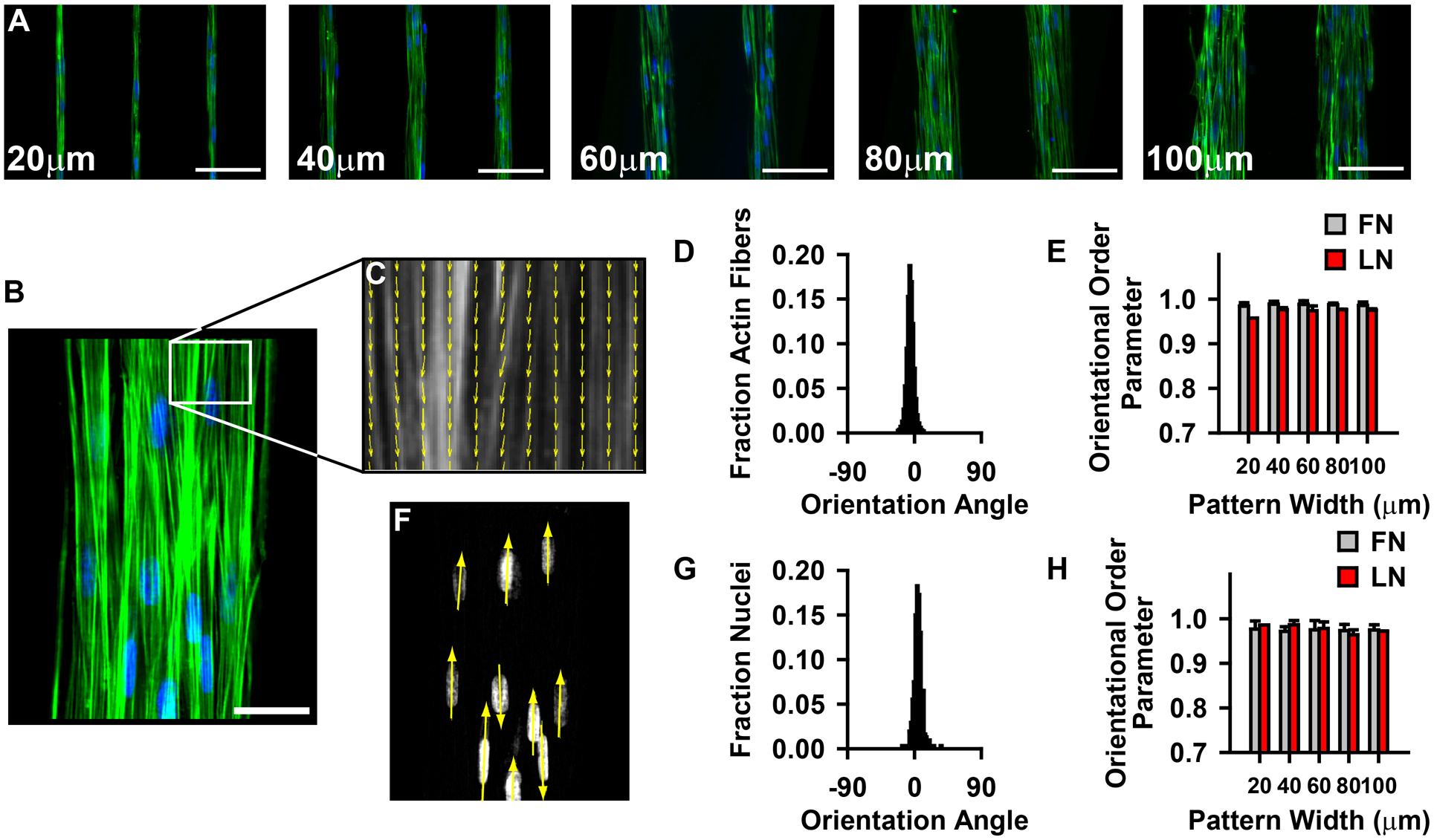 Figure 4: