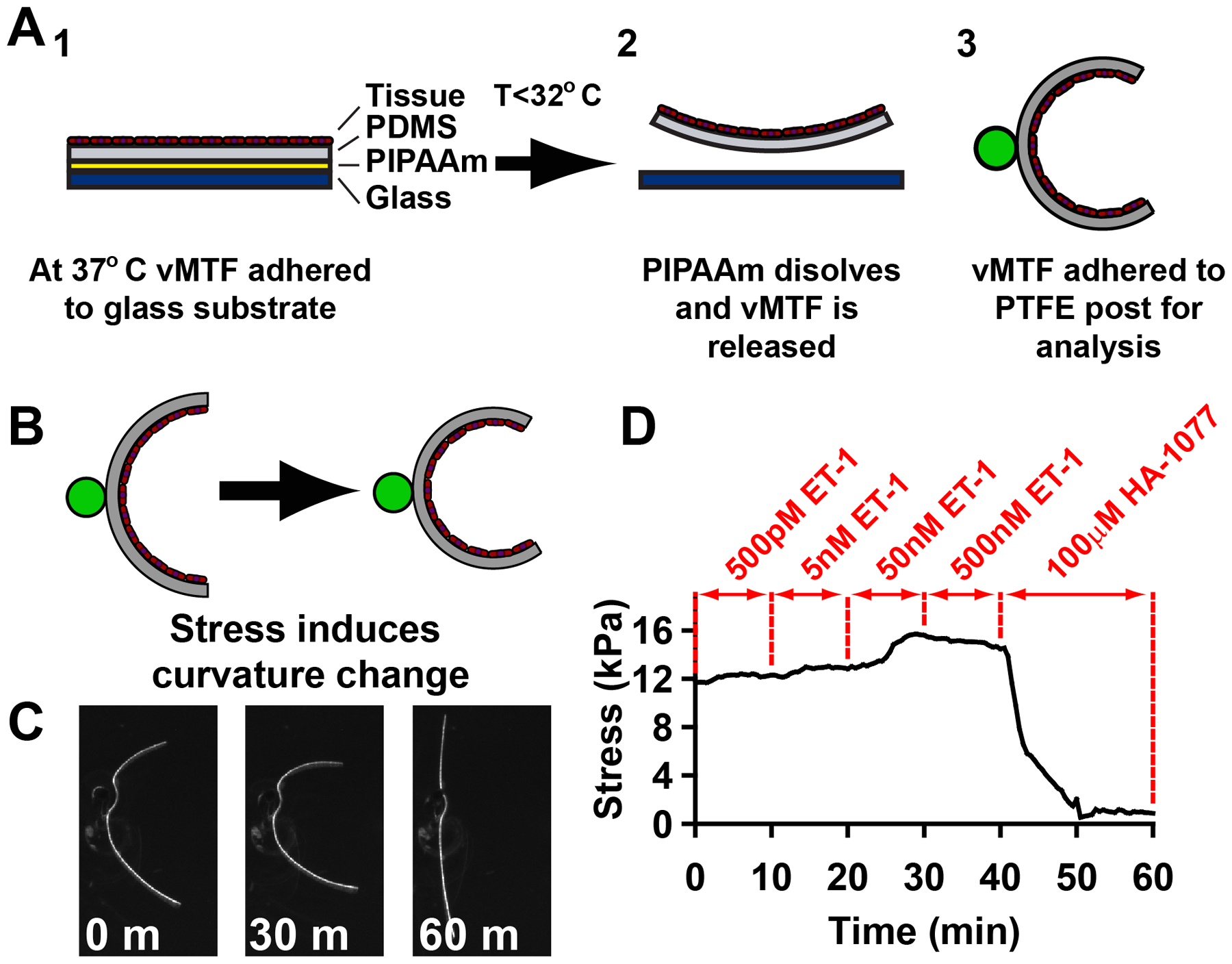 Figure 2: