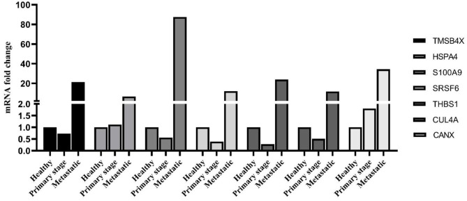 Figure 5