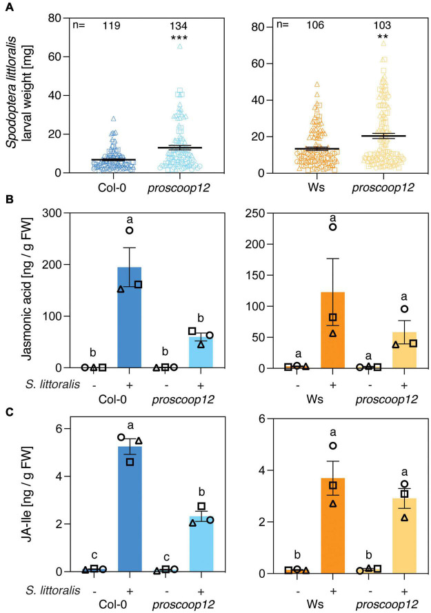 FIGURE 3