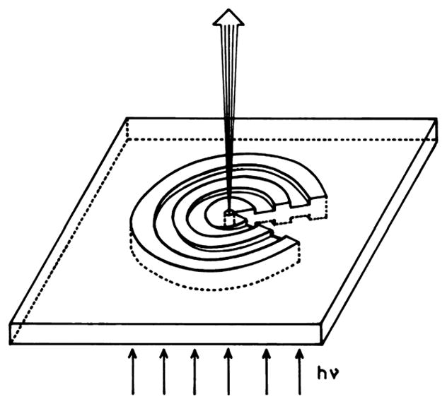 Fig. 24