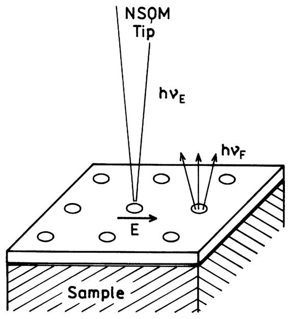 Fig. 26