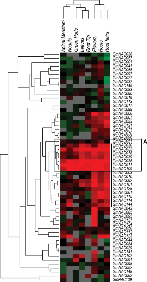 Figure 4.