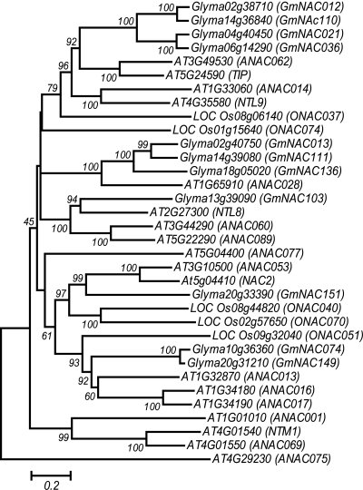 Figure 3.