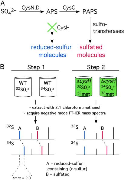 Fig 2.