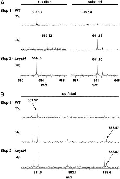 Fig 4.