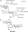 Fig 1.