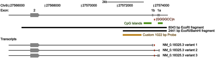 Supplementary Fig. 1