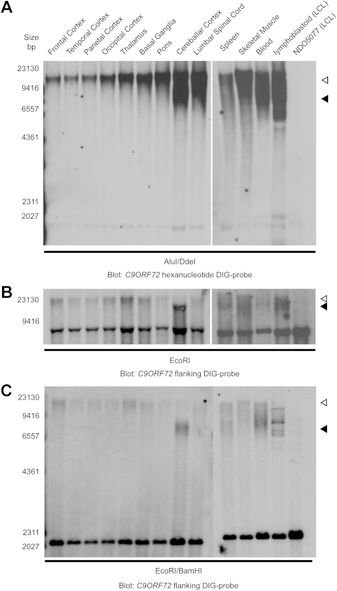 Supplementary Fig. 2