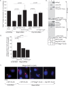 FIG 6