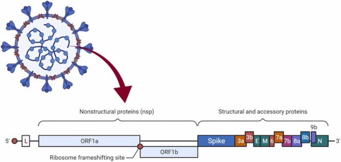 Fig. 1