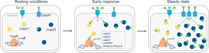 Figure 10.