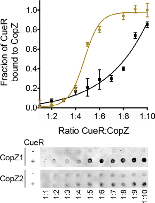 Figure 5.