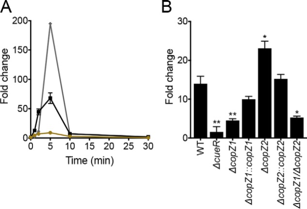 Figure 7.