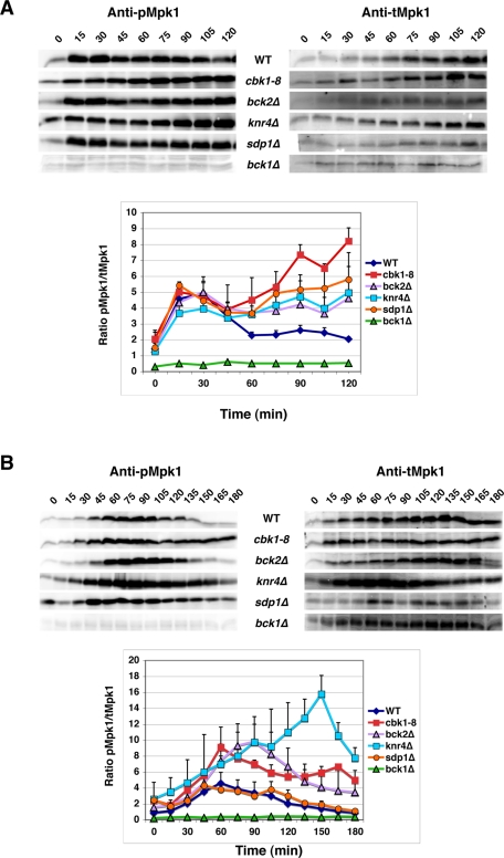 FIGURE 3: