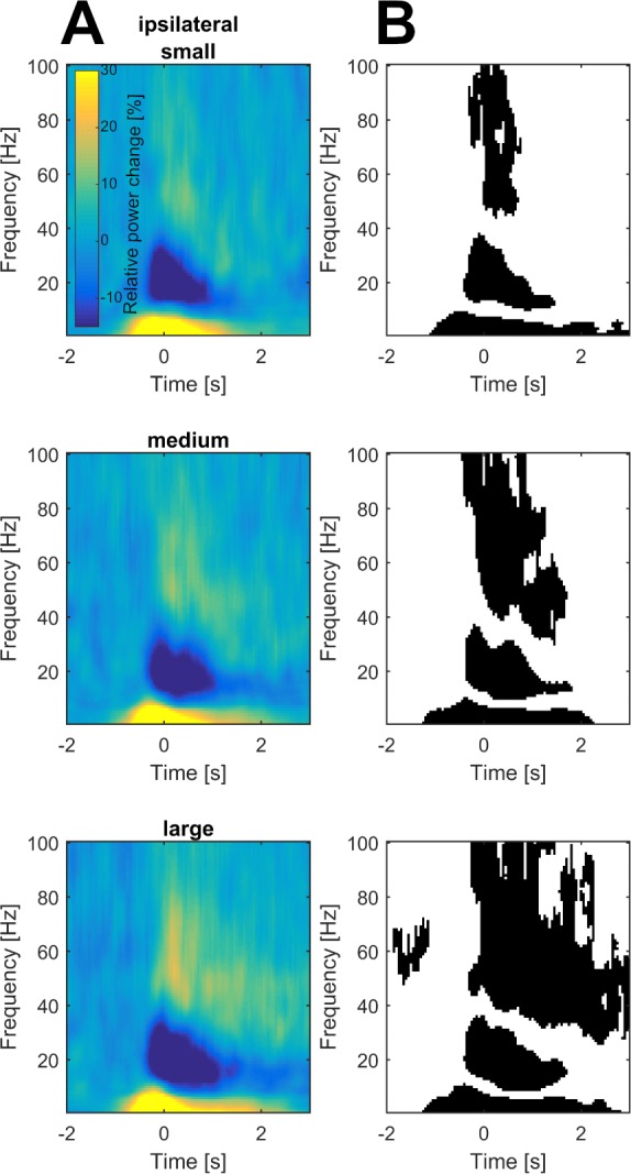 Figure 2—figure supplement 2.