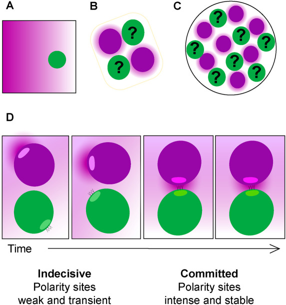 FIGURE 1: