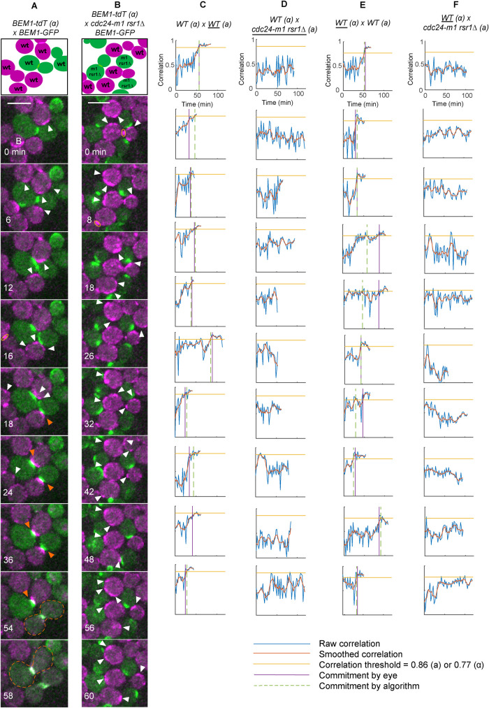 FIGURE 4: