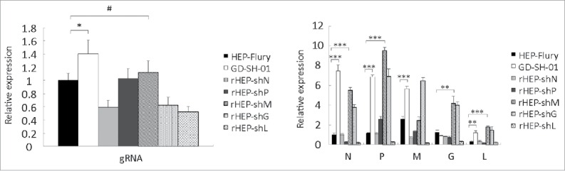 Figure 10.