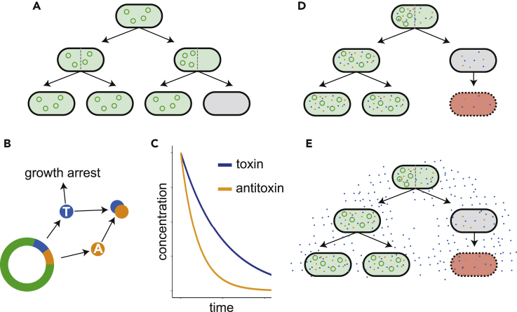 Figure 1