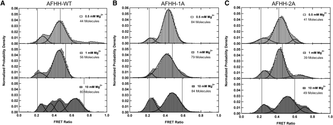 FIGURE 4.