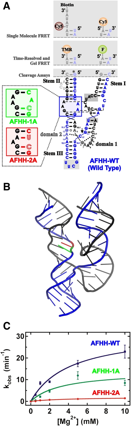 FIGURE 2.