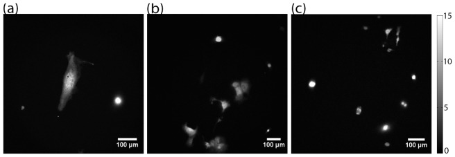 Fig. 8